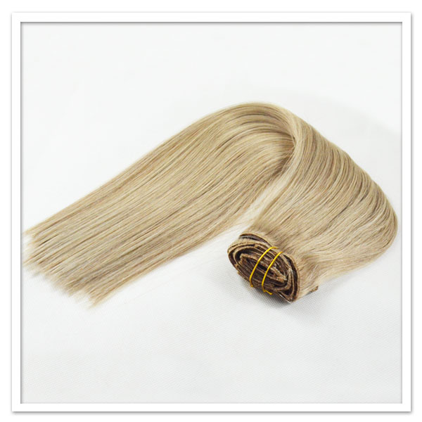 China Wholesale  Hair Extension LJ0138